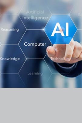 Professional Services